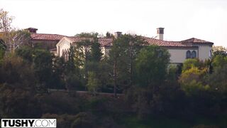 Félvér spanyol bige tövig szereti