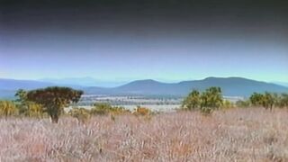 Afrika - Magyar szinkronos teljes vhs xxx videó