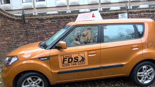 Fake Driving School egy cumizás és egy gyors menet a vizsgáztatóval
