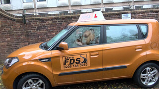 Fake Driving School szőrös pinájú lány a hátsó ülésen